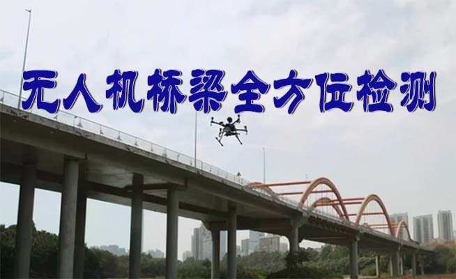 无人机全桥检测